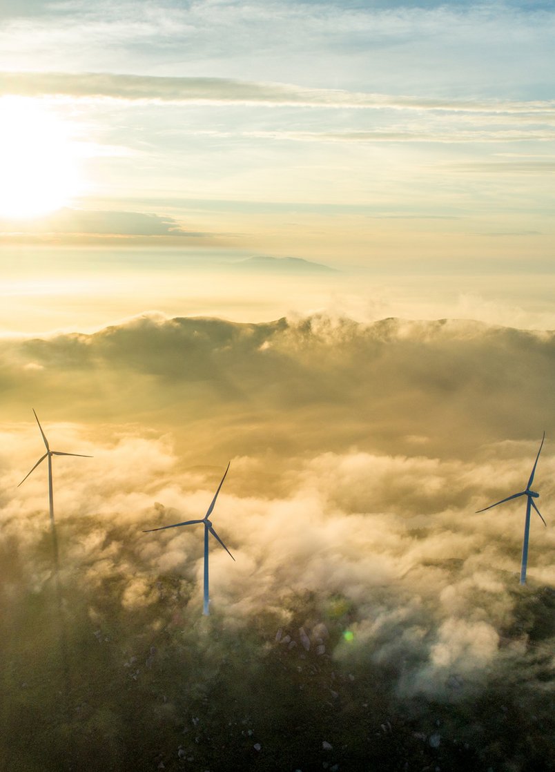 Wind field