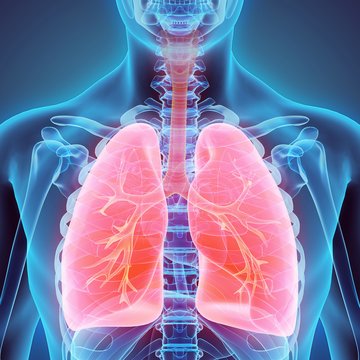 Interventional Pulmonology