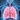 Interventional Pulmonology Interventional Pulmonology