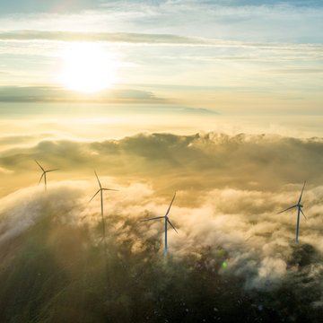 Wind field Wind field