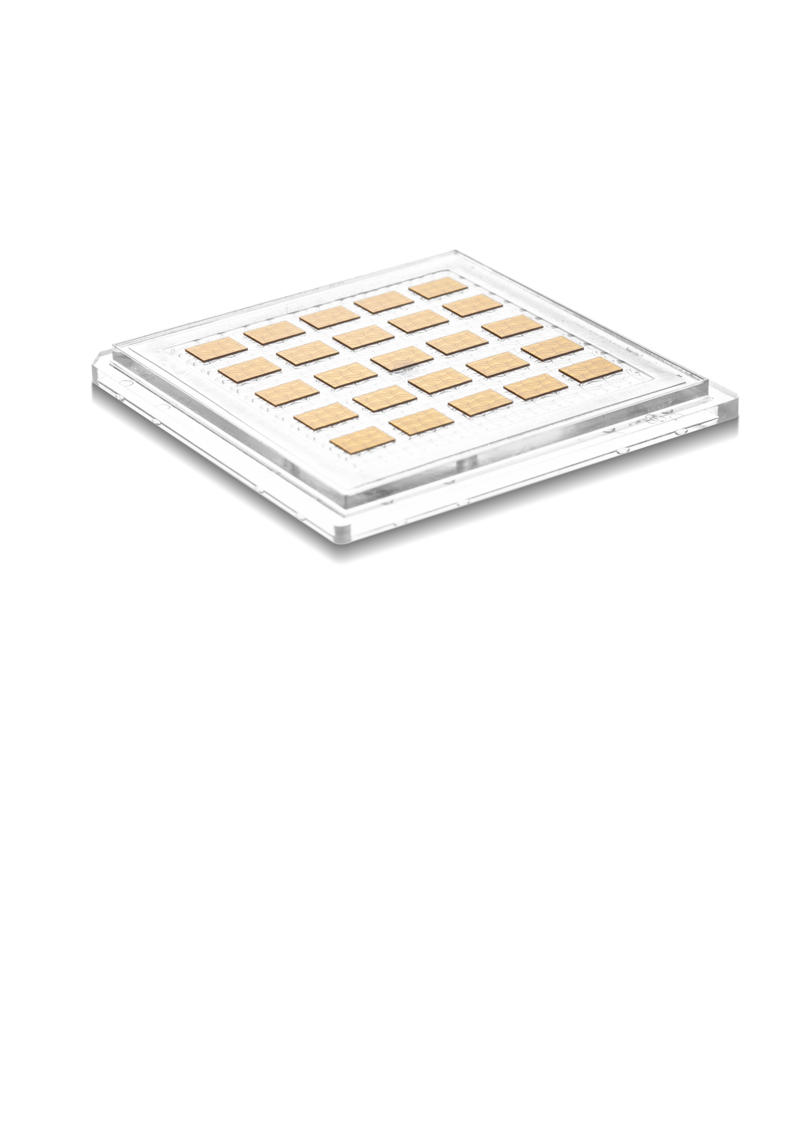 codixx Polarizer