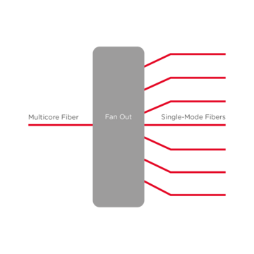 Multicore FIber - Fan Outs