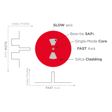 Schematic of a Bow-Tie HiBi Fiber Structure
