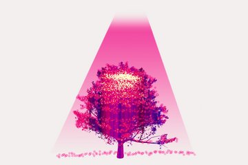 Steel-pipes - For Projects Beyond Borders