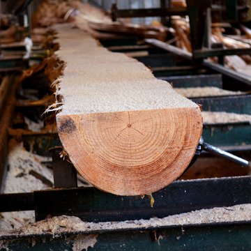 Wood Industry
