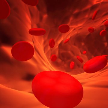 Red Erythrocytes Blood Cells