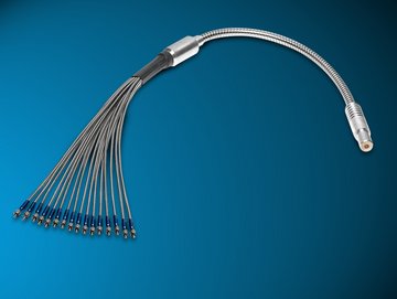 Fiber Bundle