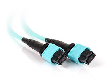 MPO Plug