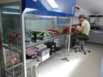 Fiber Array Assembly