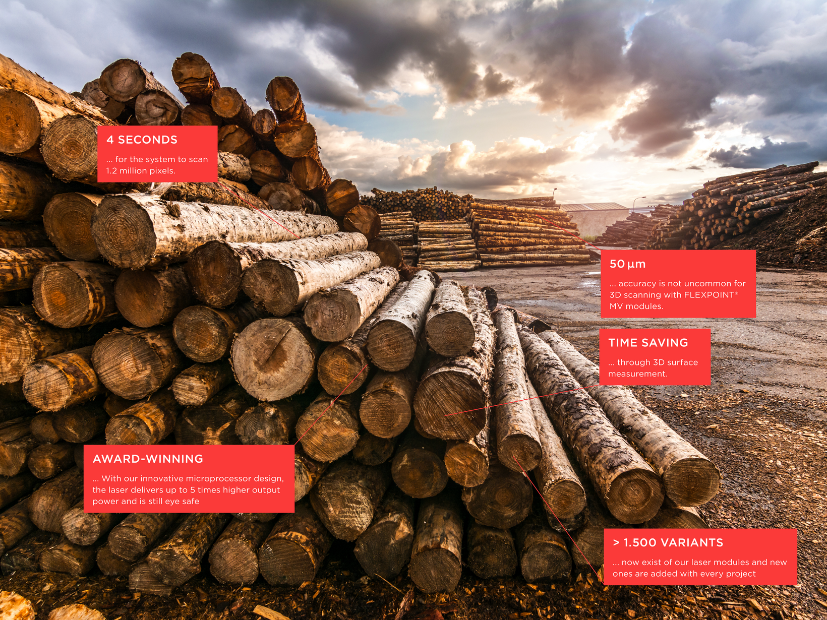 Application Overview of Optical Solutions in Wood Processing