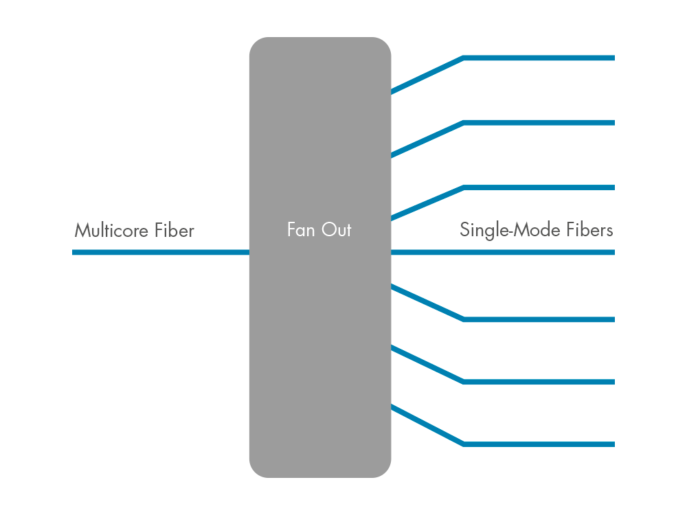 Multicore FaserFanouts Multicore Fasern